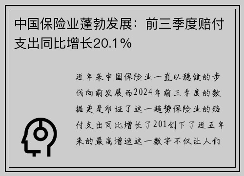中国保险业蓬勃发展：前三季度赔付支出同比增长20.1%